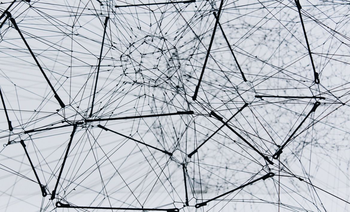 How first-party data helps grow sales
