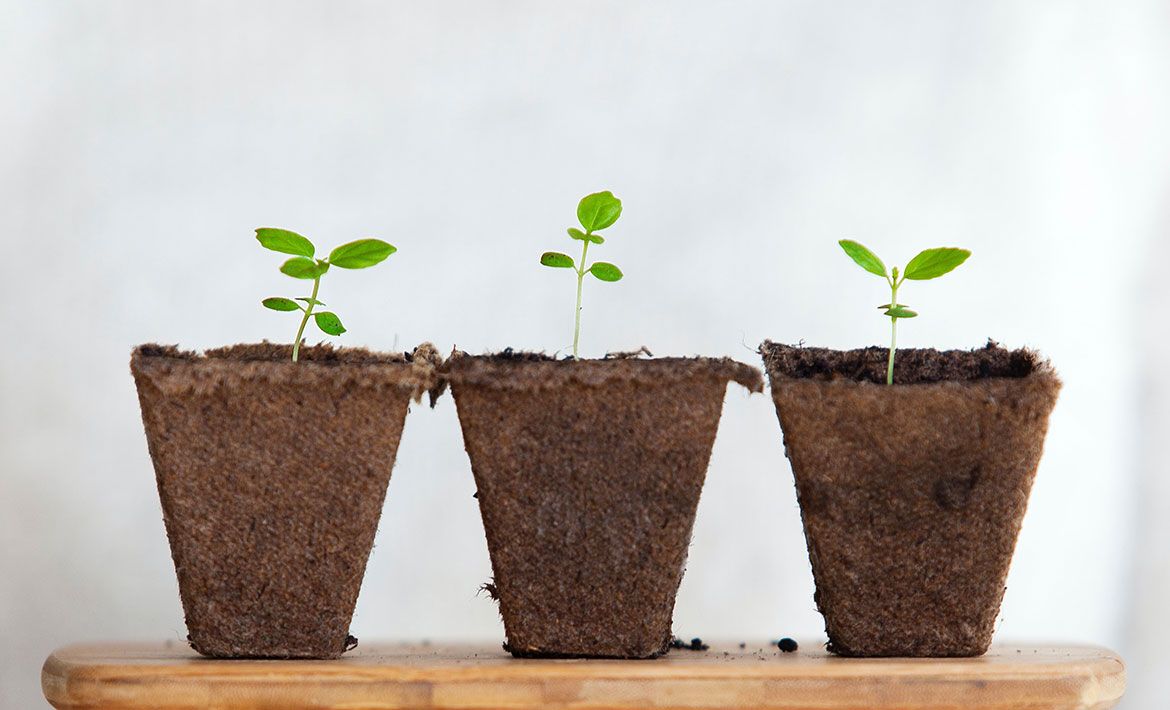 How to nurture leads through email sequences [+templates]
