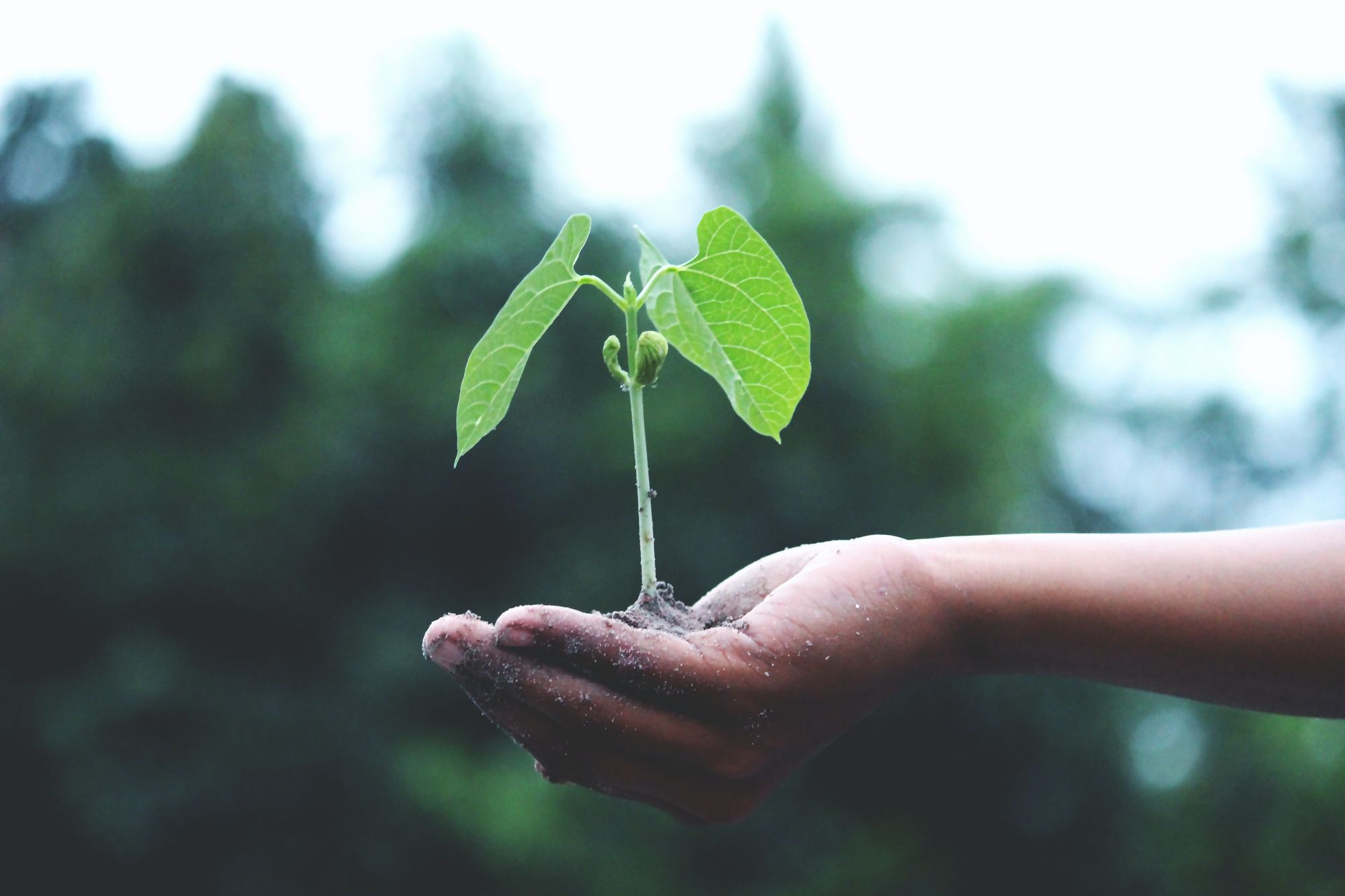 8 ways NetHunt CRM helps your small business grow