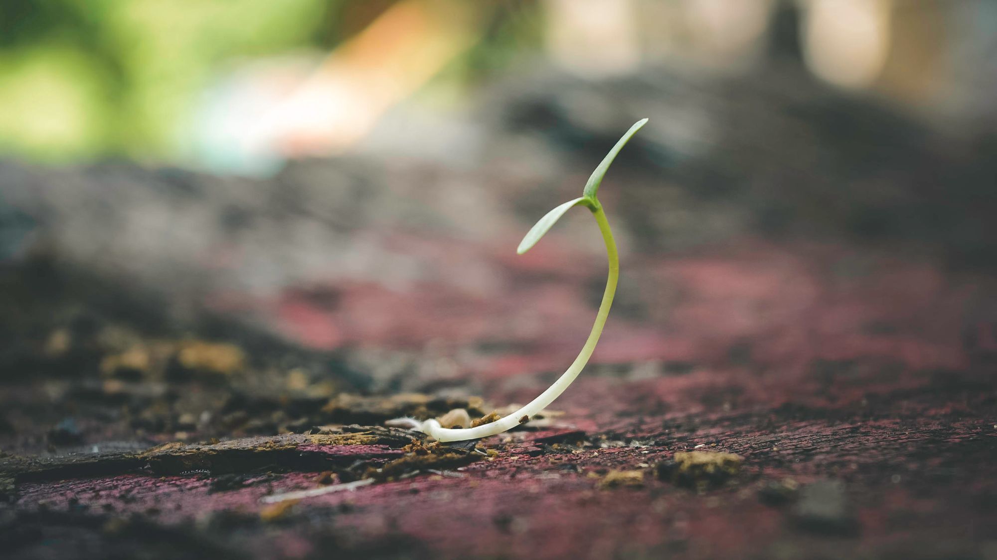 Do small businesses really need CRM?