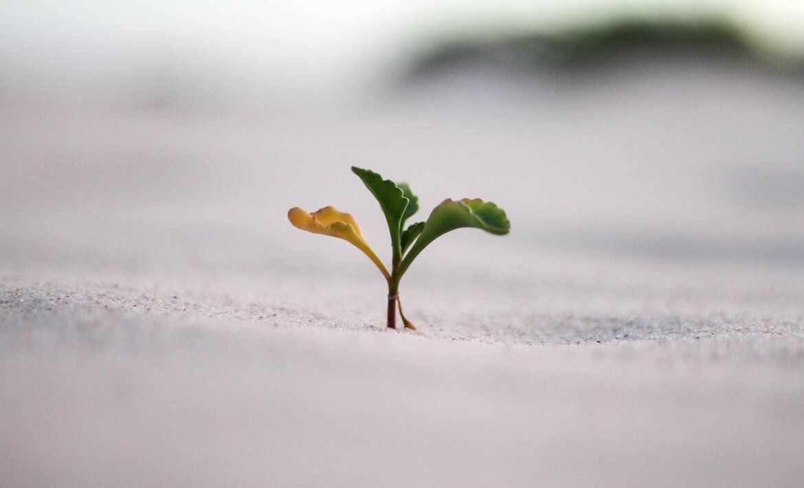 Let’s get growing! SaaS experts explain how to accelerate product growth