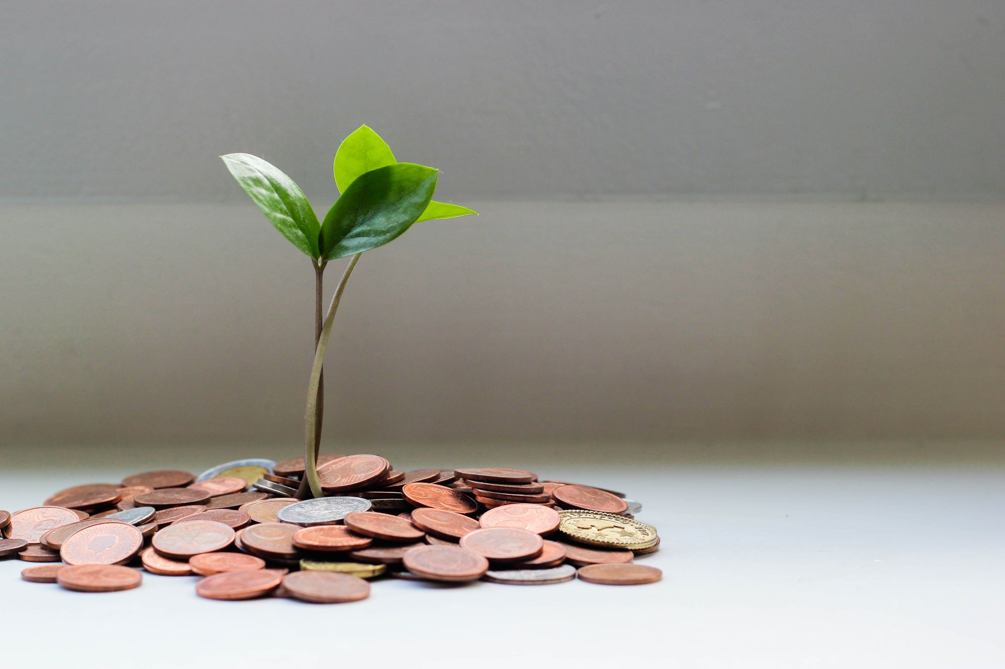 Small business CRM vs. spreadsheet CRM: Which is best for organisation, automation, and growth?