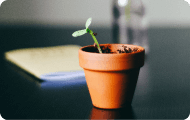 How to nurture leads and win deals